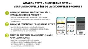 Amazon-Shop-Brand-Sites